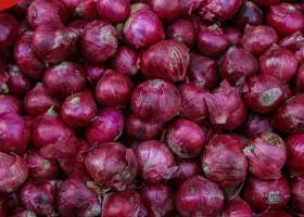 How Onion Farming Can Make You a Millionaire