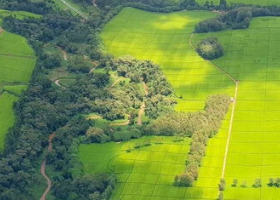 Little-Known Kenyan Law That Lets the Government Take Your Land