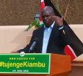 Kabogo
