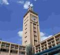 'Bankrupt' Loser Kenyan MPs Rush to Withdraw Sacco Savings