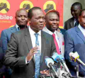 Jubilee Disowns Njunjiri Wambugu's Petition to Kick Out Chief Justice David Maraga