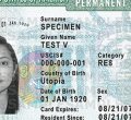 Green Card Lottery to be Re-Started after Technical Glitch Causes Loss of Submitted Information