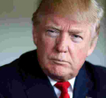 Republicans Call for End to Green Card Lottery Program Following New York Terrorist Attack