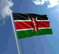 NASA Senator Proposes Bill to Allow Kenyans Hoist National Flag in their Homes