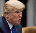 Trump Administration Lifts Ban on Refugees from 11 "High Risk" Countries