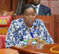 Parliament Committee Approves Names of Nine Cabinet Nominees