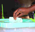 IEBC Mulls Online Voting for Kenyans in the Diaspora