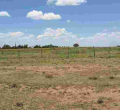 Gov't to Impose Taxes on Idle Land in Kenya