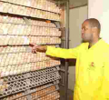 Meet Tony Kiragu, a Kenyan Who Has Built a Sh20 Million Agri-Business after Ditching Lucrative Job in the US