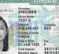 Immigrants in the US Could Soon Need to Have Good Credit to be Approved for Green Cards