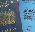 Kenya's Immigration Department on the Spot after Woman's Uncollected Passport is Found on the Streets of Nairobi