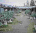 Inside President Uhuru Family's Mabati-Made Estate that Rakes in Millions Per Year