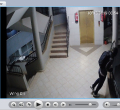 Police in Nairobi Hunt for 'Spiderman' Terrorizing Kilimani Residents [VIDEO]