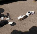Police Gun Down Seven Suspected Criminals after Botched Robbery Incident in Nairobi