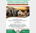 Real Estate Firm Optiven Visits Philadelphia, Pennsylvania March 21st to March 26th