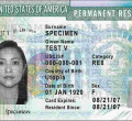 Green Card Lottery (2020 Diversity Visa Program) Results Unavailable for Many As Website is Inaccessible