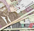 Central Bank of Kenya Accused of Overvaluing Kenya Shilling by 30 Percent