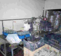 Eight Suspects Arrested for Allegedly Operating Illegal Alcohol Brewing Plant in Nairobi