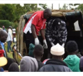 Autopsy Reveals What Killed Kenyan Man Who Died During Drunken Sex in Maize Farm