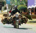 Mishandling Chickens will Land You in Jail, DCI Warns Kenyans