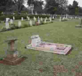 How Slain Dutch Tycoon Tob Cohen will be Buried in Nairobi in Line with Jewish Traditions