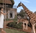 Kenyans Online React as Foreign Tourist Fails to Acknowledge Nairobi is in Kenya