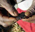 Two Kenyan Women Plead Guilty to Circumcising Each Other, Say they Wanted to Save their Children from Death