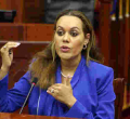 MPs Turn to Appeals Court in Bid to Force Mwende Mwinzi Renounce US Citizenship