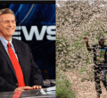 God is Punishing Kenyans with Locusts for Runaway Corruption, US Pastor Says