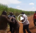Video of MP Benjamin Washiali Raining Blows and Kicks On Man Goes Viral