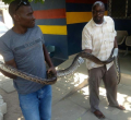 Kenyan Man Busted Trafficking Python Fined Sh2 Million Or Else Serve a Two-Year Prison Term