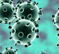 11 Children Test Positive for Coronavirus in Uganda