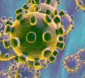 Kenya Records 9 New Covid-19 Cases, Total Tally Climbs to 25