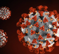 Africa's First Coronavirus Death Recorded in Egypt