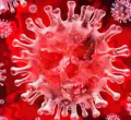 Kenya’s Coronavirus Cases Rise by 7 to 179
