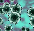 Kenya's Covid-19 Cases Rise to 172 As 14 More People Test Positive 
