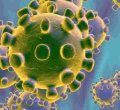 6-Year-Old Kenyan Boy Dies of Covid-19 As Number of Infections Rises to 122