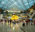 15 Kenyans Stranded at Hamad International Airport in Qatar Cry for Help