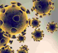 Kenya Posts Highest Single-Day Covid-19 Cases for the Second Day in a Row