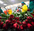 UK Topples US, Netherlands to Become 3rd Largest Buyer of Kenyan Products