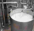 Protest over Push to Give US Dairy Farmers Unfettered Access into the Kenyan Market 
