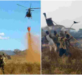 Police Launch Hunt for Arsonists Who Torched Tsavo West, Kenya's Largest National Park 