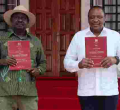 Kenyans in the Diaspora Express Displeasure with BBI Report 