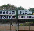 More UK, German Retailers Cut Avocado Supplies by Kenyan Producer Kakuzi