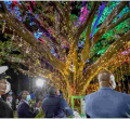 Uhuru Unveils Declaration for Preservation of the Iconic Fig Tree in Westlands, Nairobi 