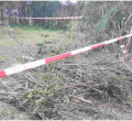Five Children Die After Falling into Septic Tank in Ruiru 