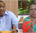Uhuru Using BBI to Extend Stay in Power, MP Alice Wahome Says 