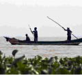 Three Killed After Boat Capsizes in Lake Victoria as Passenger Takes Selfie 