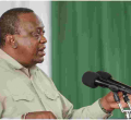 Security Swings into Action as Intruder Tries to Charge Towards President Kenyatta [VIDEO] 