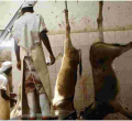 High Court Okays Slaughtering of Donkeys in Kenya 
